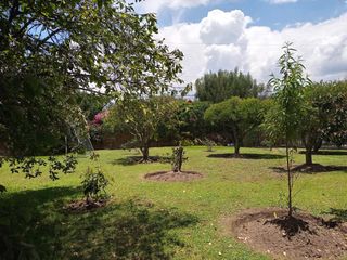 Foto 1 de VENTA CASA AMPLIA 4 DORMITORIOS en Puembo