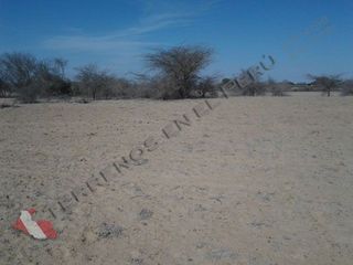 Foto 4 de Terreno en Olmos – Chiclayo de 858 Has