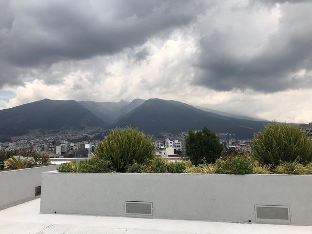 DEPARTAMENTO EN ALQUILER - BELLAVISTA