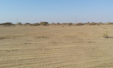 place photo 49
