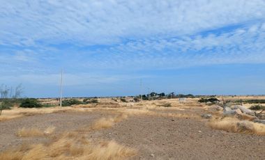 place photo 61
