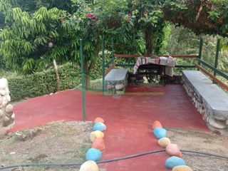 Foto 40 de VENDEMOS HERMOSA FINCA CON ARBOLES FRUTALES Y LAGO.