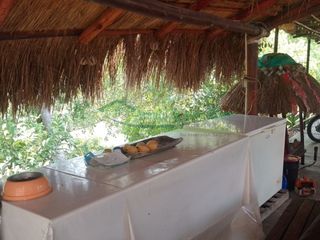 Foto 50 de VENDEMOS HERMOSA FINCA CON ARBOLES FRUTALES Y LAGO.