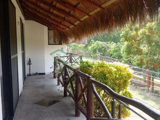 Foto 45 de VENDEMOS HERMOSA FINCA CON ARBOLES FRUTALES Y LAGO.