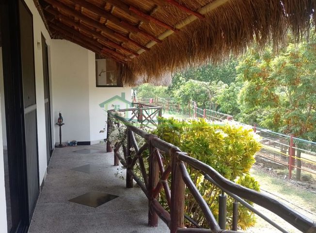 place photo 45