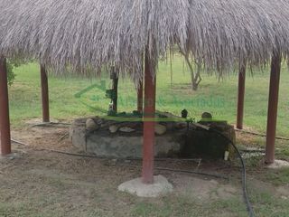 Foto 37 de VENDEMOS HERMOSA FINCA CON ARBOLES FRUTALES Y LAGO.