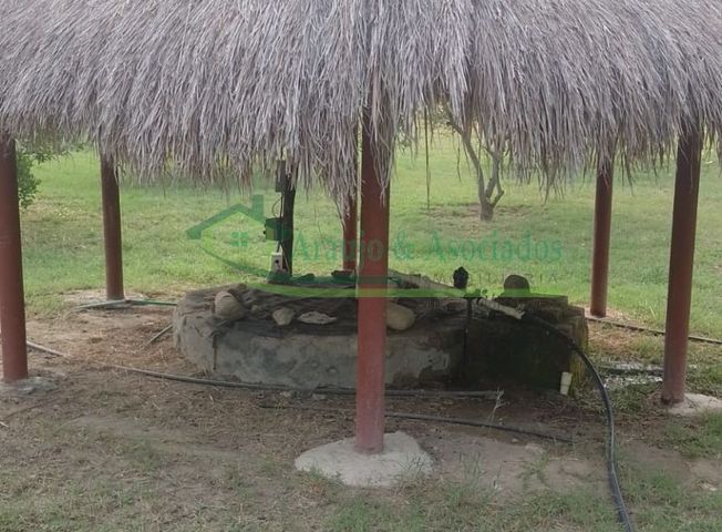 place photo 37