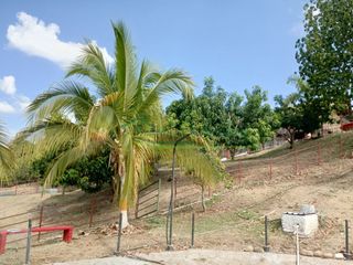 Foto 30 de VENDEMOS HERMOSA FINCA CON ARBOLES FRUTALES Y LAGO.