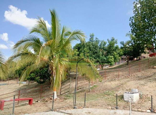place photo 30