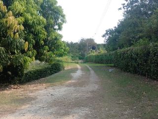 Foto 41 de VENDEMOS HERMOSA FINCA CON ARBOLES FRUTALES Y LAGO.