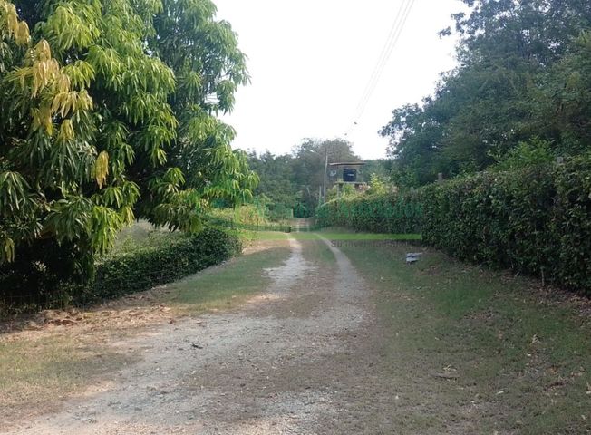place photo 41