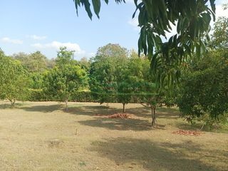 Foto 21 de VENDEMOS HERMOSA FINCA CON ARBOLES FRUTALES Y LAGO.