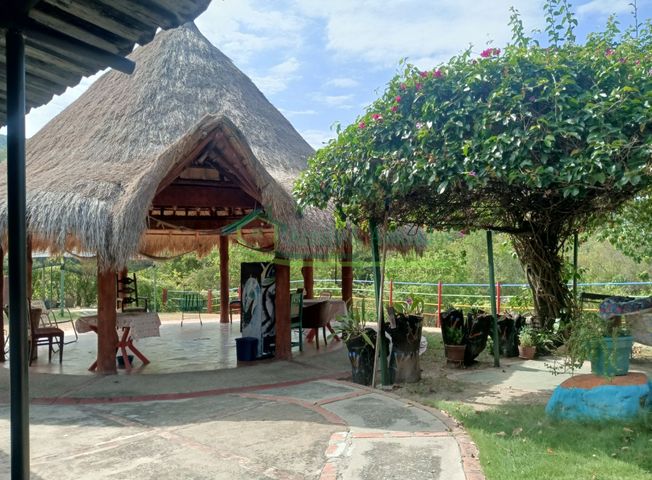 place photo 26
