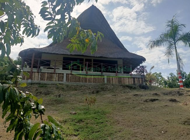 place photo 22