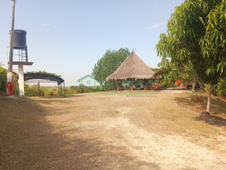 Foto 1 de VENDEMOS HERMOSA FINCA CON ARBOLES FRUTALES Y LAGO.