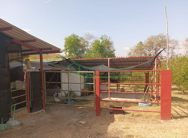 place photo 17