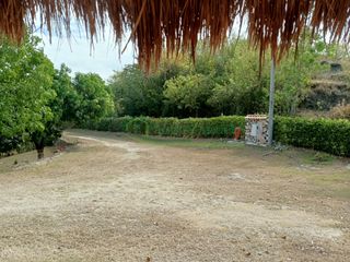 Foto 33 de VENDEMOS HERMOSA FINCA CON ARBOLES FRUTALES Y LAGO.