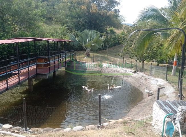 place photo 52