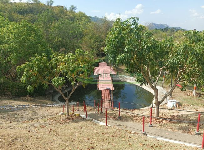 place photo 27