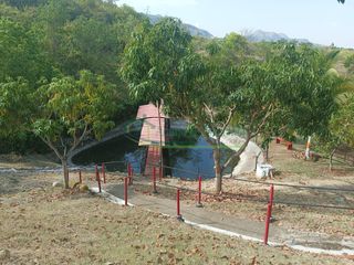 Foto 4 de VENDEMOS HERMOSA FINCA CON ARBOLES FRUTALES Y LAGO.