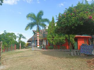 Foto 5 de VENDEMOS HERMOSA FINCA CON ARBOLES FRUTALES Y LAGO.