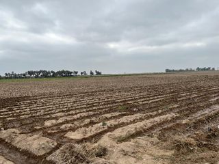 Foto 5 de VENDO TERRENO IDEAL PARA PROYECTO INMOBILIARIO CASAS DE PLAYA