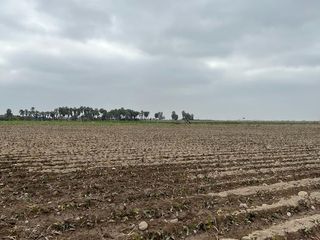 Foto 7 de VENDO TERRENO IDEAL PARA PROYECTO INMOBILIARIO CASAS DE PLAYA