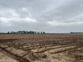 Foto 4 de VENDO TERRENO IDEAL PARA PROYECTO INMOBILIARIO CASAS DE PLAYA