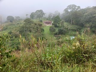 Te vendo esta preciosa finca planita, nada de lomas, baratísima y muy bien situada.