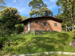 Te vendo esta preciosa finca planita, nada de lomas, baratísima y muy bien situada.