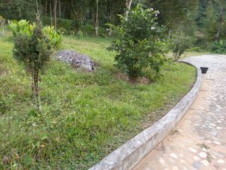 Te vendo esta preciosa finca planita, nada de lomas, baratísima y muy bien situada.