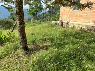 Te vendo esta preciosa finca planita, nada de lomas, baratísima y muy bien situada.