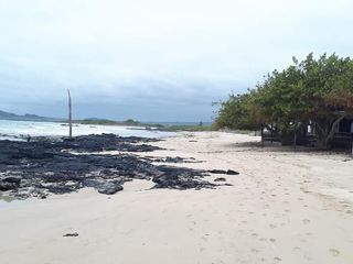 Foto 4 de Terreno al pie de la playa en la isla Isabela - Galápagos.