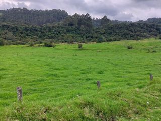 Foto 7 de HACIENDA GANADERA PLANA CERCA DE SANGOLQUI