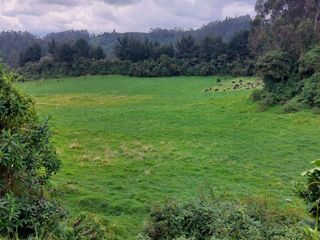 Foto 3 de HACIENDA GANADERA PLANA CERCA DE SANGOLQUI