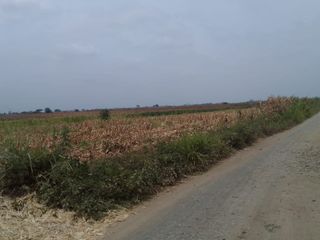 Foto 1 de Terreno de Venta en Palenque Vinces