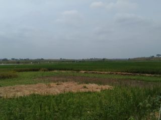 Foto 6 de Terreno de Venta en Palenque Vinces
