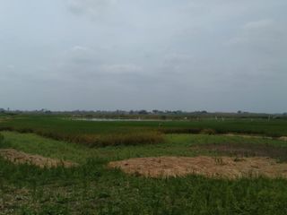 Foto 4 de Terreno de Venta en Palenque Vinces