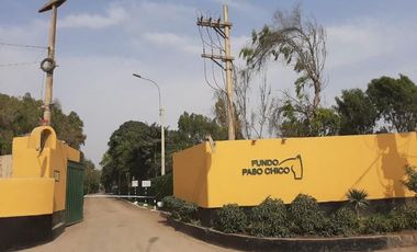 similar_image