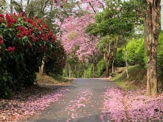 VENTA FINCA EN BARBOSA ANTIOQUIA