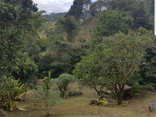 VENTA FINCA EN BARBOSA ANTIOQUIA