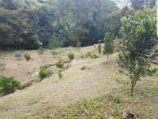 VENTA FINCA EN BARBOSA ANTIOQUIA