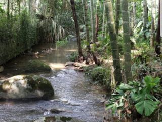 VENTA FINCA EN BARBOSA ANTIOQUIA