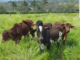 VENTA FINCA EN BARBOSA ANTIOQUIA