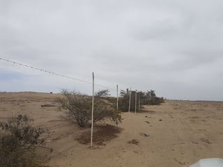 Foto 3 de TERRENO PARA DESARROLLO URBANO