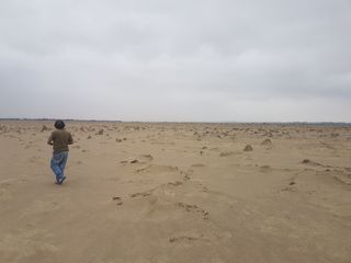 Foto 4 de TERRENO PARA DESARROLLO URBANO