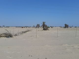 Foto 1 de TERRENO PARA DESARROLLO URBANO