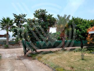 Foto 33 de SE VENDE COMO TERRENO PARA  PROYECTO O CONDOMINIO DE  2,584 m². ¡CAMPO Y PLAYA !...