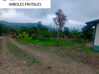 Foto 10 de Villa Vacacional de Venta en Las Palmas en la Via Quera a Cuenca.