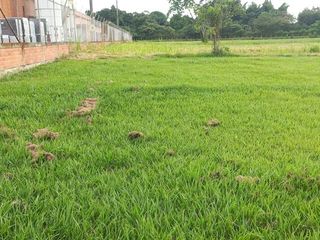 Foto 11 de Lote en condominio ubicado en la Zona Franca, con 22.984 M2